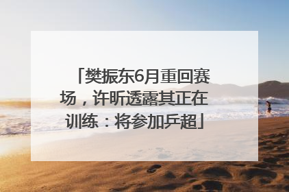 樊振东6月重回赛场，许昕透露其正在训练：将参加乒超
