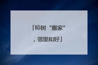 樟树“搬家”，邻里和好