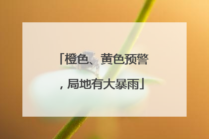 橙色、黄色预警，局地有大暴雨