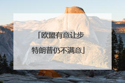 欧盟有意让步 特朗普仍不满意