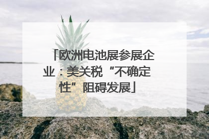 欧洲电池展参展企业：美关税“不确定性”阻碍发展