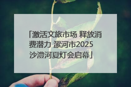 激活文旅市场 释放消费潜力 漯河市2025沙澧河夏灯会启幕