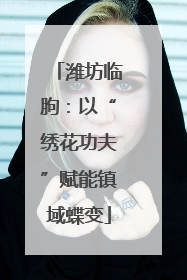 潍坊临朐：以“绣花功夫”赋能镇域蝶变