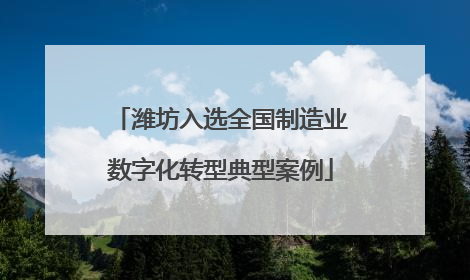 潍坊入选全国制造业数字化转型典型案例