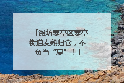 潍坊寒亭区寒亭街道麦熟归仓，不负当“夏”！