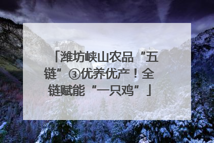 潍坊峡山农品“五链”③优养优产！全链赋能“一只鸡”