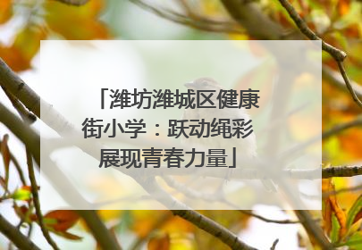 潍坊潍城区健康街小学：跃动绳彩展现青春力量