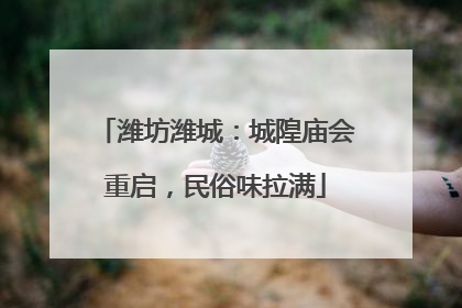 潍坊潍城：城隍庙会重启，民俗味拉满