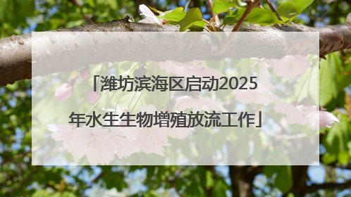 潍坊滨海区启动2025年水生生物增殖放流工作