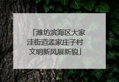 潍坊滨海区大家洼街道孟家庄子村文明新风展新貌