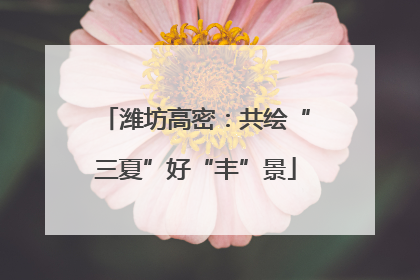 潍坊高密：共绘“三夏”好“丰”景