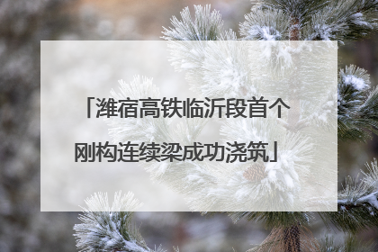 潍宿高铁临沂段首个刚构连续梁成功浇筑