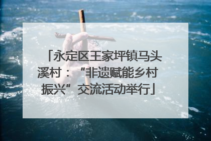 永定区王家坪镇马头溪村：“非遗赋能乡村振兴”交流活动举行
