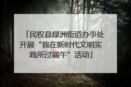 民权县绿洲街道办事处开展“我在新时代文明实践所过端午”活动