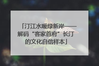 汀江水暖绿新岸——解码“客家首府”长汀的文化自信样本