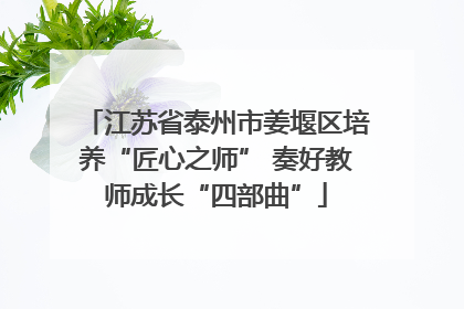 江苏省泰州市姜堰区培养“匠心之师” 奏好教师成长“四部曲”