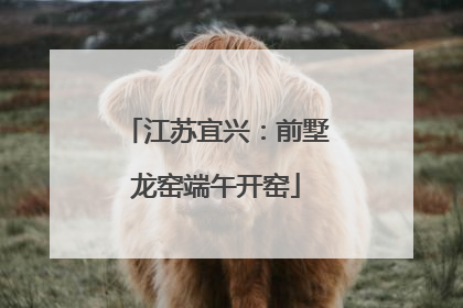 江苏宜兴：前墅龙窑端午开窑
