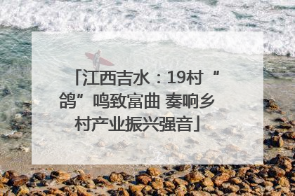 江西吉水：19村“鸽”鸣致富曲 奏响乡村产业振兴强音