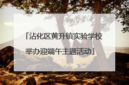 沾化区黄升镇实验学校举办迎端午主题活动