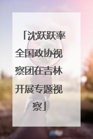 沈跃跃率全国政协视察团在吉林开展专题视察