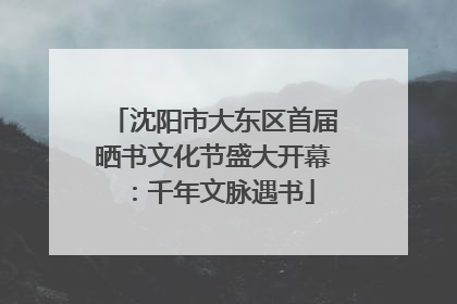 沈阳市大东区首届晒书文化节盛大开幕：千年文脉遇书