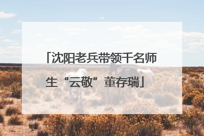 沈阳老兵带领千名师生“云敬”董存瑞