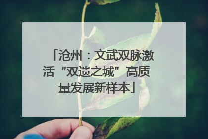 沧州：文武双脉激活“双遗之城”高质量发展新样本