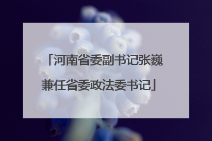 河南省委副书记张巍兼任省委政法委书记