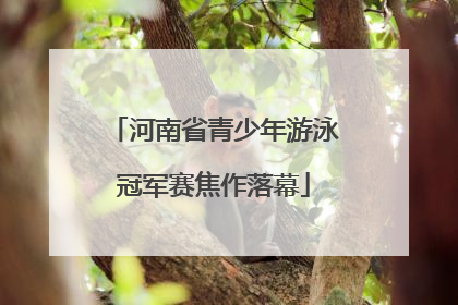 河南省青少年游泳冠军赛焦作落幕