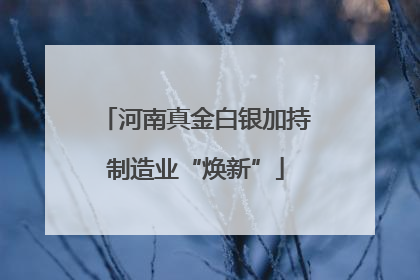 河南真金白银加持制造业“焕新”
