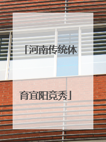 河南传统体育宜阳竞秀