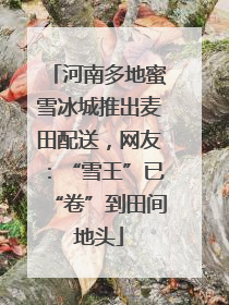 河南多地蜜雪冰城推出麦田配送，网友：“雪王”已“卷”到田间地头