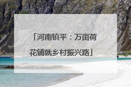 河南镇平：万亩荷花铺就乡村振兴路