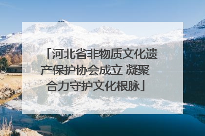 河北省非物质文化遗产保护协会成立 凝聚合力守护文化根脉