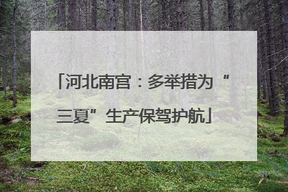 河北南宫：多举措为“三夏”生产保驾护航