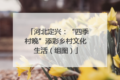 河北定兴：“四季村晚”添彩乡村文化生活（组图）