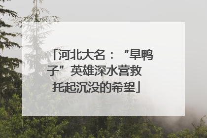 河北大名：“旱鸭子”英雄深水营救 托起沉没的希望