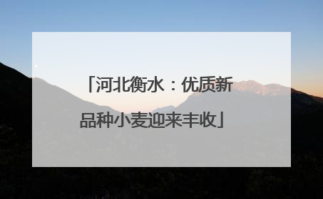 河北衡水：优质新品种小麦迎来丰收