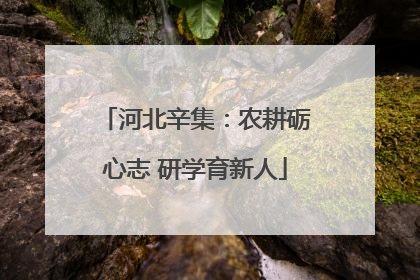 河北辛集：农耕砺心志 研学育新人