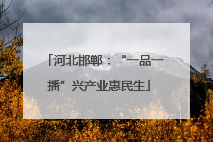 河北邯郸：“一品一播”兴产业惠民生