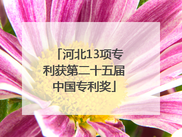 河北13项专利获第二十五届中国专利奖