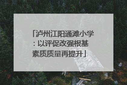 泸州江阳通滩小学：以评促改强根基 素质质量再提升