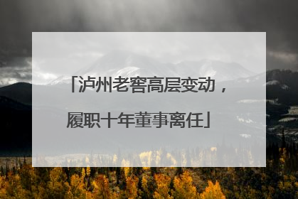 泸州老窖高层变动，履职十年董事离任