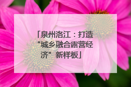 泉州洛江：打造“城乡融合露营经济”新样板