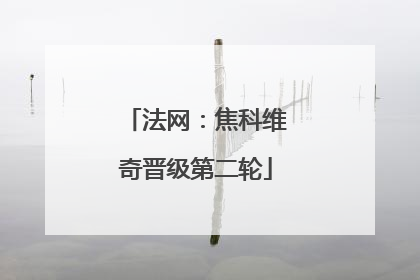 法网：焦科维奇晋级第二轮