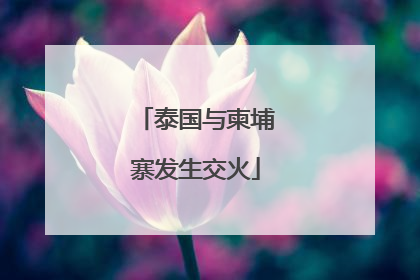 泰国与柬埔寨发生交火