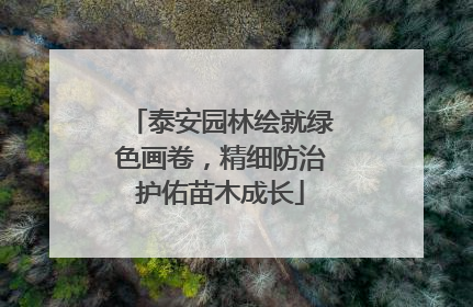 泰安园林绘就绿色画卷，精细防治护佑苗木成长