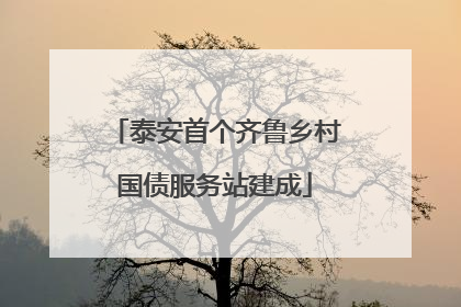 泰安首个齐鲁乡村国债服务站建成