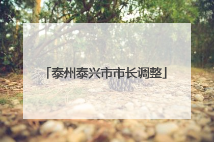 泰州泰兴市市长调整
