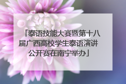 泰语技能大赛暨第十八届广西高校学生泰语演讲公开赛在南宁举办